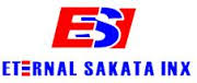25.Eternal_Sakata_Inx